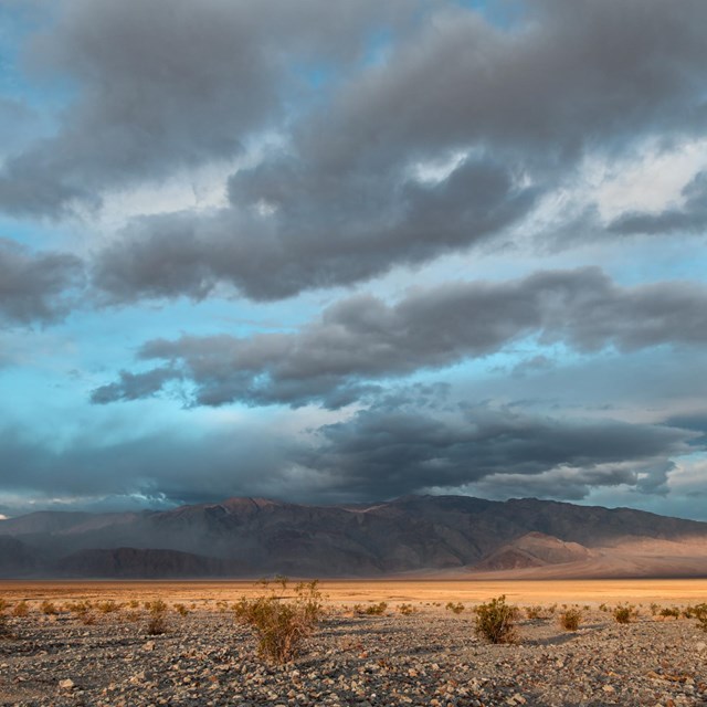 A view towards softly lit brown mountains in the middle distance.