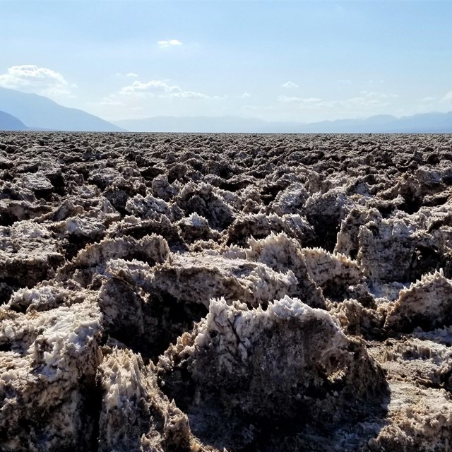 A flat valley floor is covered 1 to 2 feet deep with sharp, craggy salt formations.