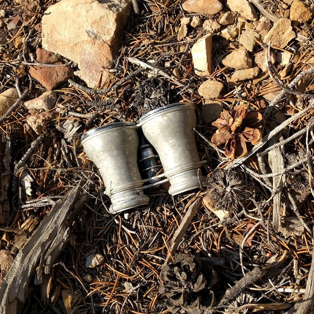 Historic gray Lemaire binoculars on the ground surrounded by pine cones, pine needles and rocks.