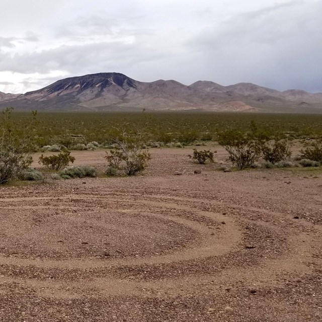 Tire tracks form tight circles in an open space surrounded by low shrubs in a broad desert valley.