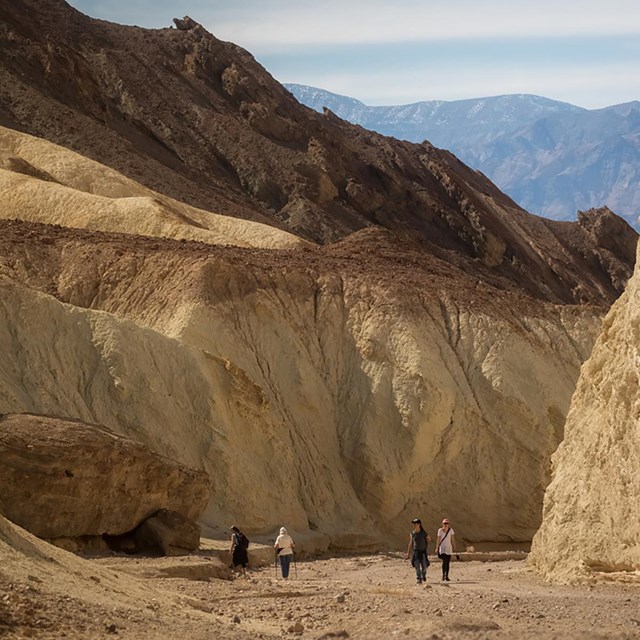 Four hikers walk on a path carved between tall golden canyon walls. Mountains rise in the background