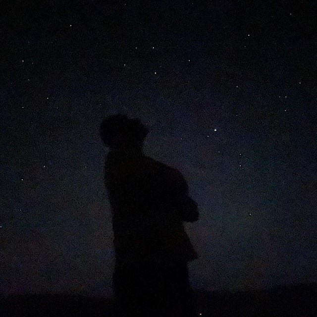 A silhouette of a person stands looking up at stars.