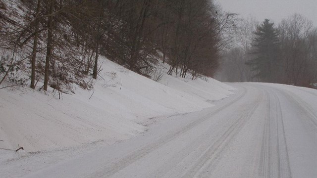 A road completely covered in snow with bare trees on either side.