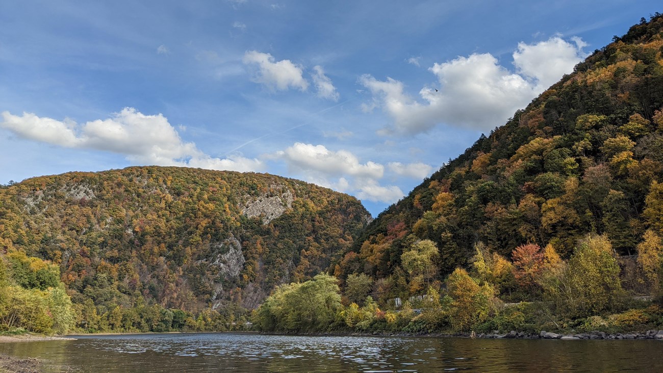 The Delaware River from a canoe on a summer day.