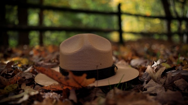 A flat hat sitting in fall leaves.