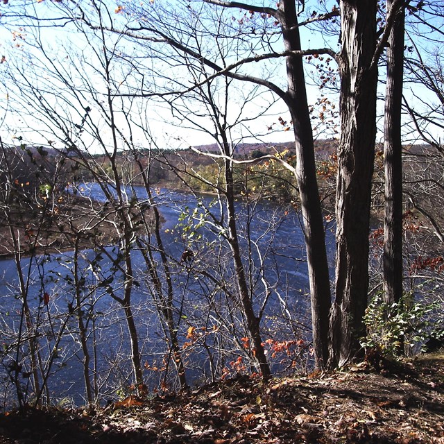 A view of the Delaware River through a line of trees.