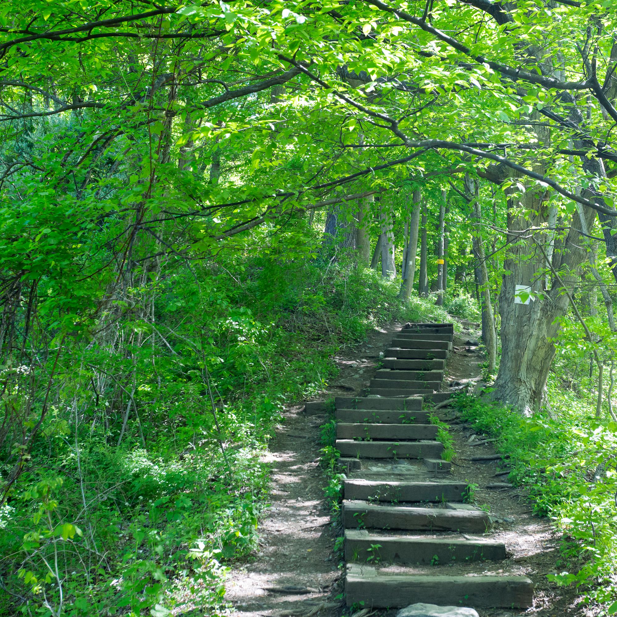 Hiking information found here
