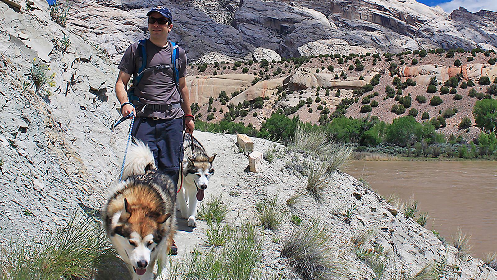 Man on trail with two large dogs. River and rocky mountain in the background