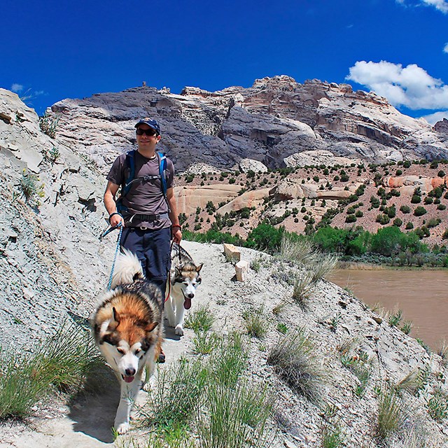 Man on trail with two large dogs. River and rocky mountain in the background