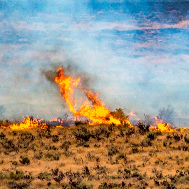 People watch a flaming sagebrush flat from a distance. The air is gray with smoke.