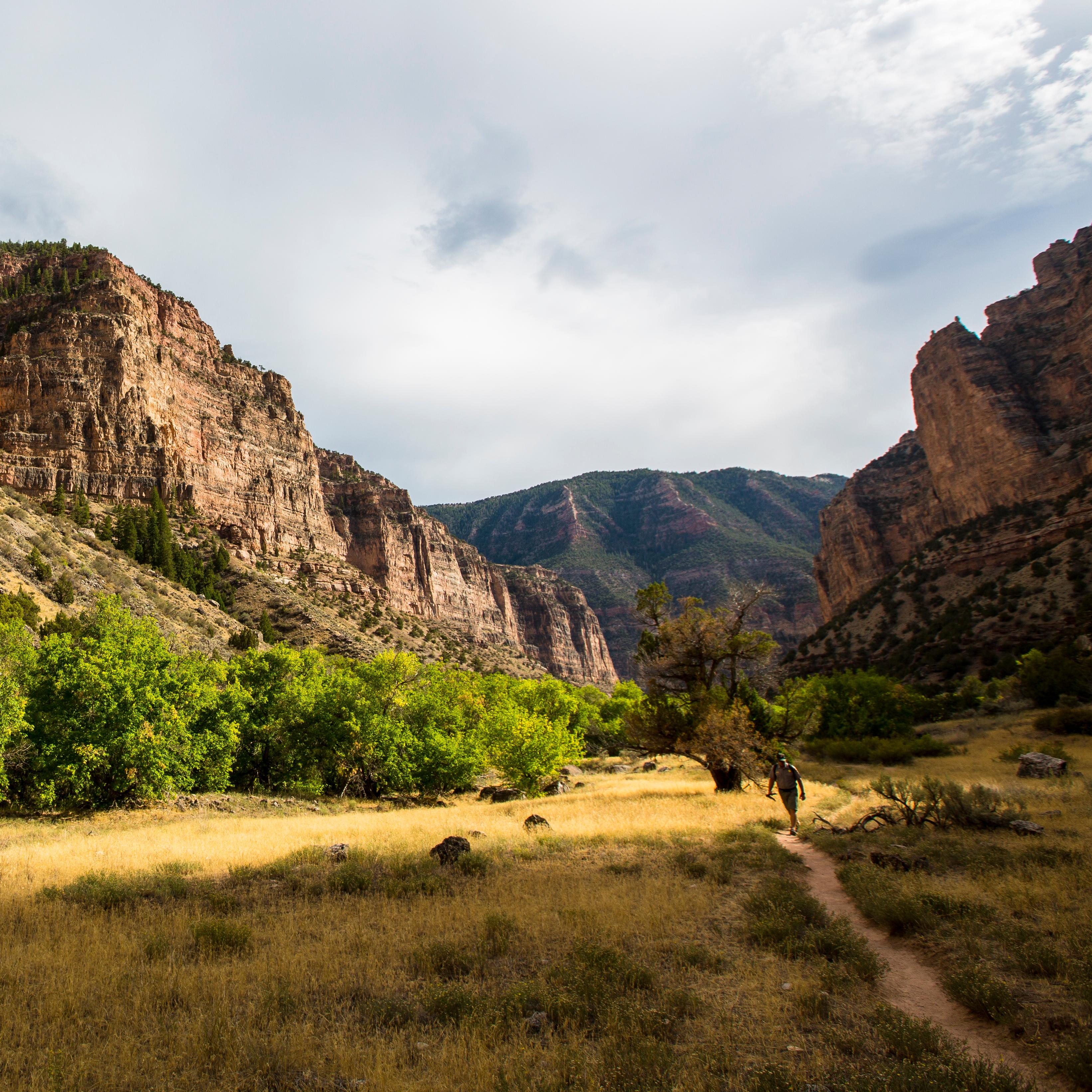 A hiker on a trail surrounded by towering cliffs