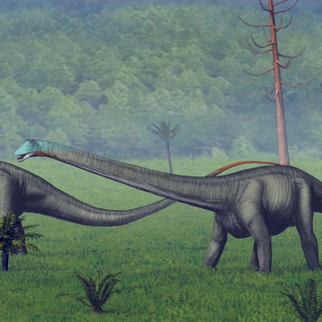 A trio of long-necked, long-tailed dinosaurs traveling together in a herd.