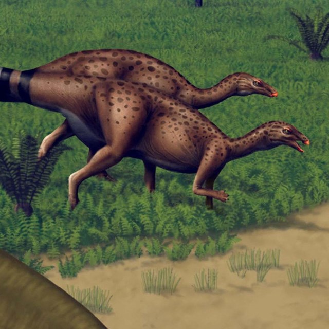Two smaller dinosaurs with long, ringed tails travel together alongside a river.