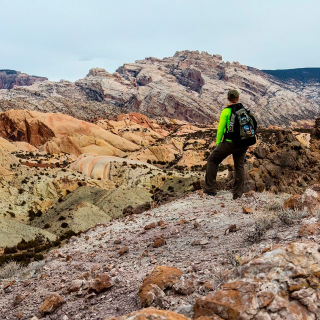 A hiker stands with their back to the camera looking out over a landscape of multicolored rocks.