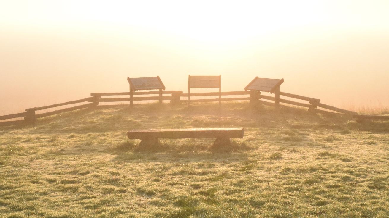 A golden misty morning at the prairie overlook.