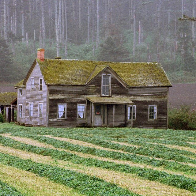 Historic farmhouse sits at end of newly mowed field.