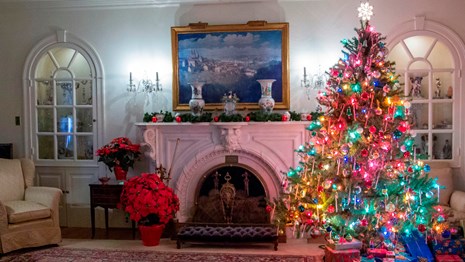 A formal living room scene with colorful lit Christmas tree with wrapped presents on the right.