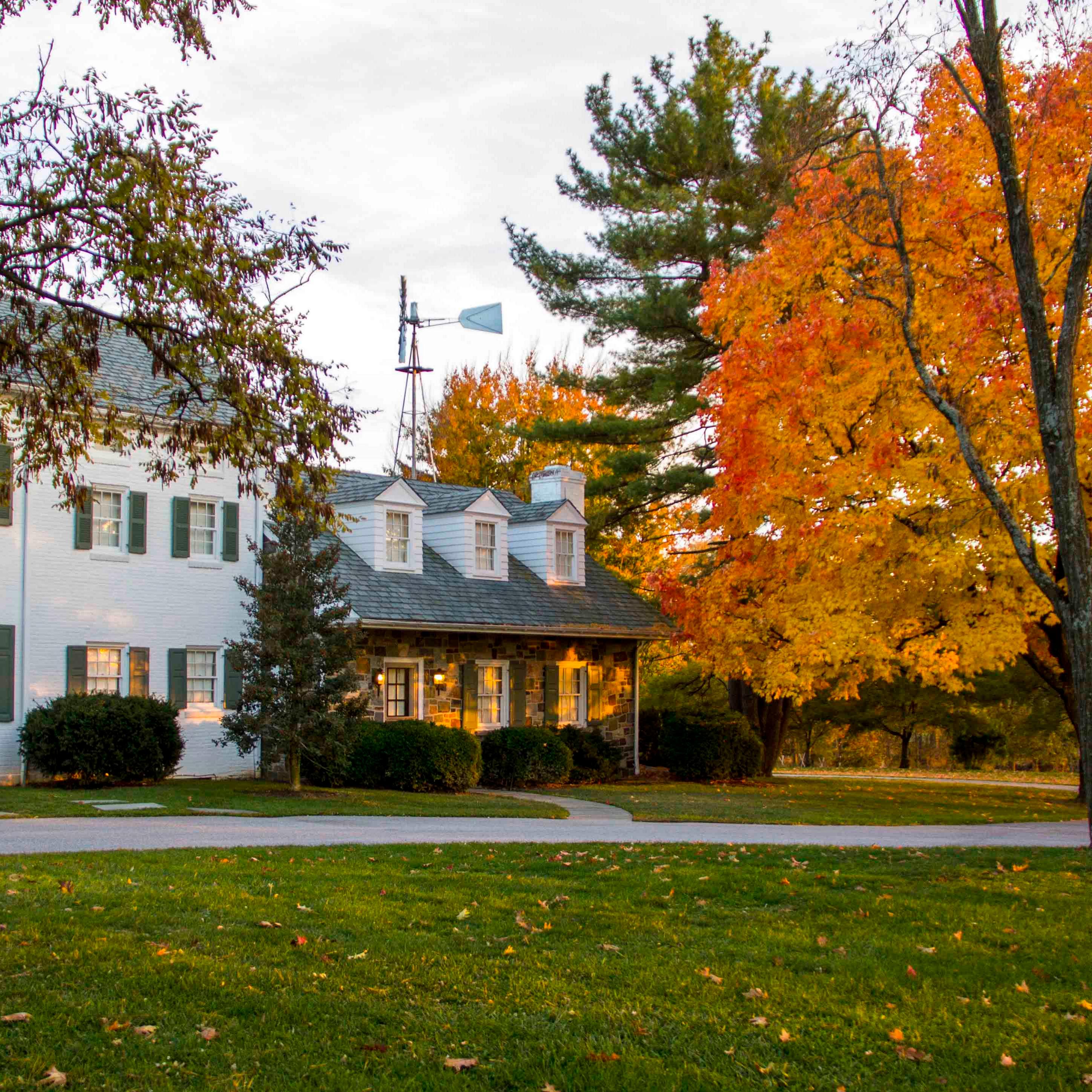 A white house behind orange and yellow trees.