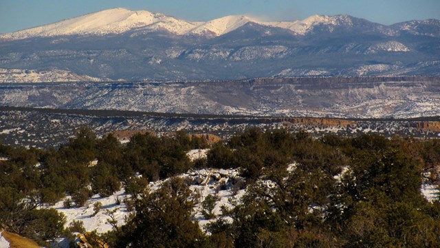 A snowcapped mountain towers over the landscape. 