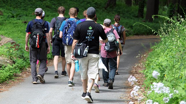 Group of people walking along a road shaded by trees.