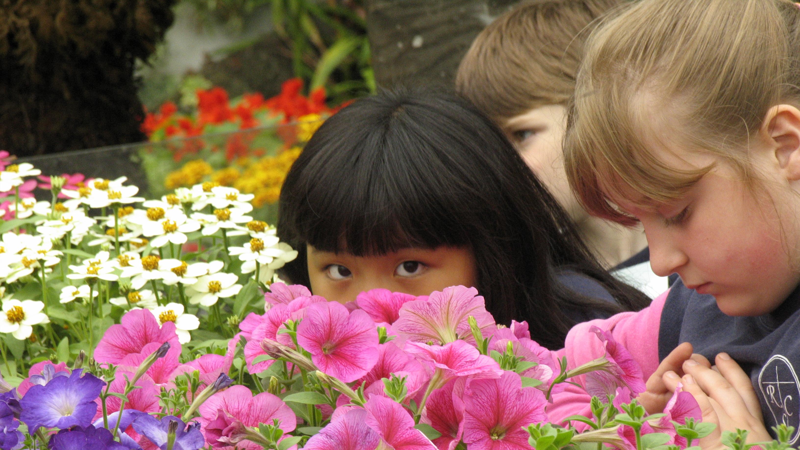 Two young girls examining flowers.