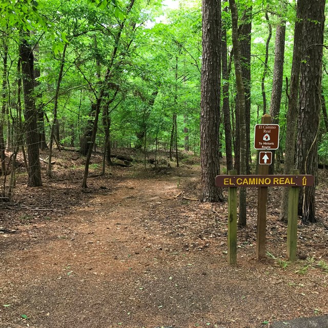 A dirt path leads into a dense broad-leaf tree forest with a historic trail sign.