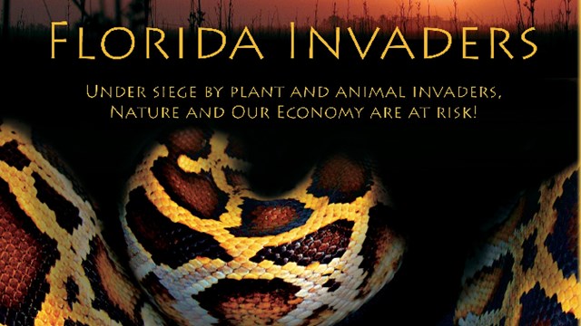 Florida Invaders