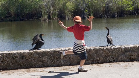 A Child stands next to a retaining wall and throws its hands and one foot in the air excitedly.