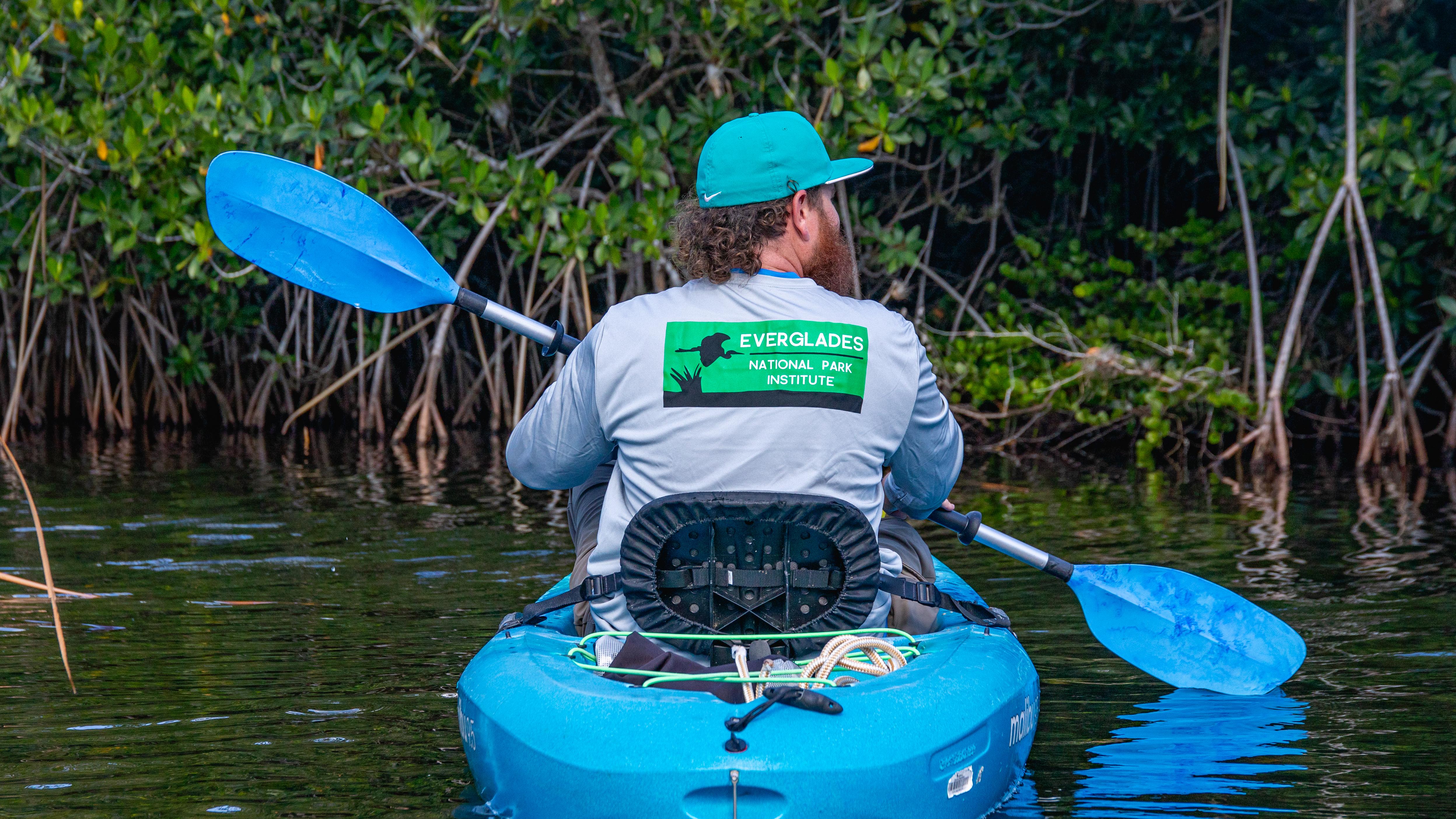 A person paddling on a blue kayak near mangroves.