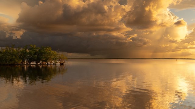 A sunset photo of still water mirroring the majestic clouds above, framed by a line of mangrove tree