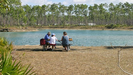 A group sits at a picnic table with a lake in the background