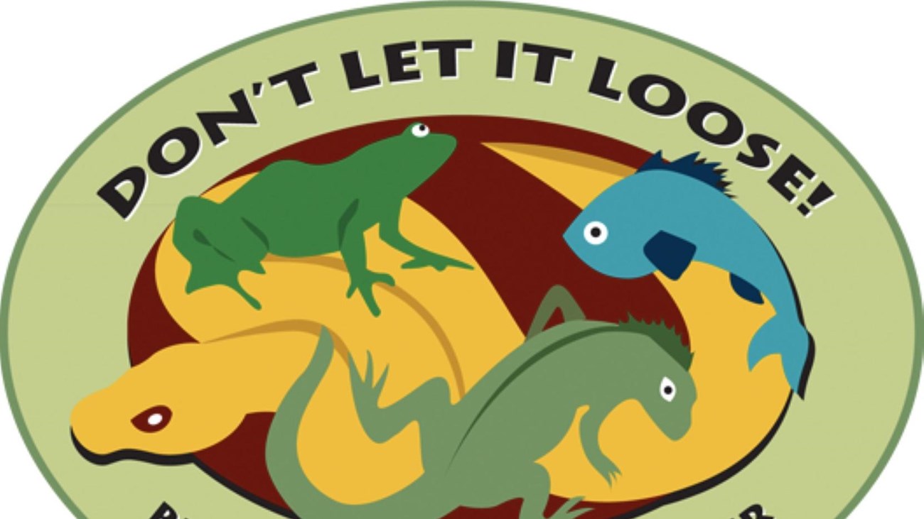 Don't Let it Loose Program Logo