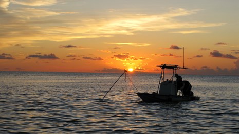 Explore the Park with Guides