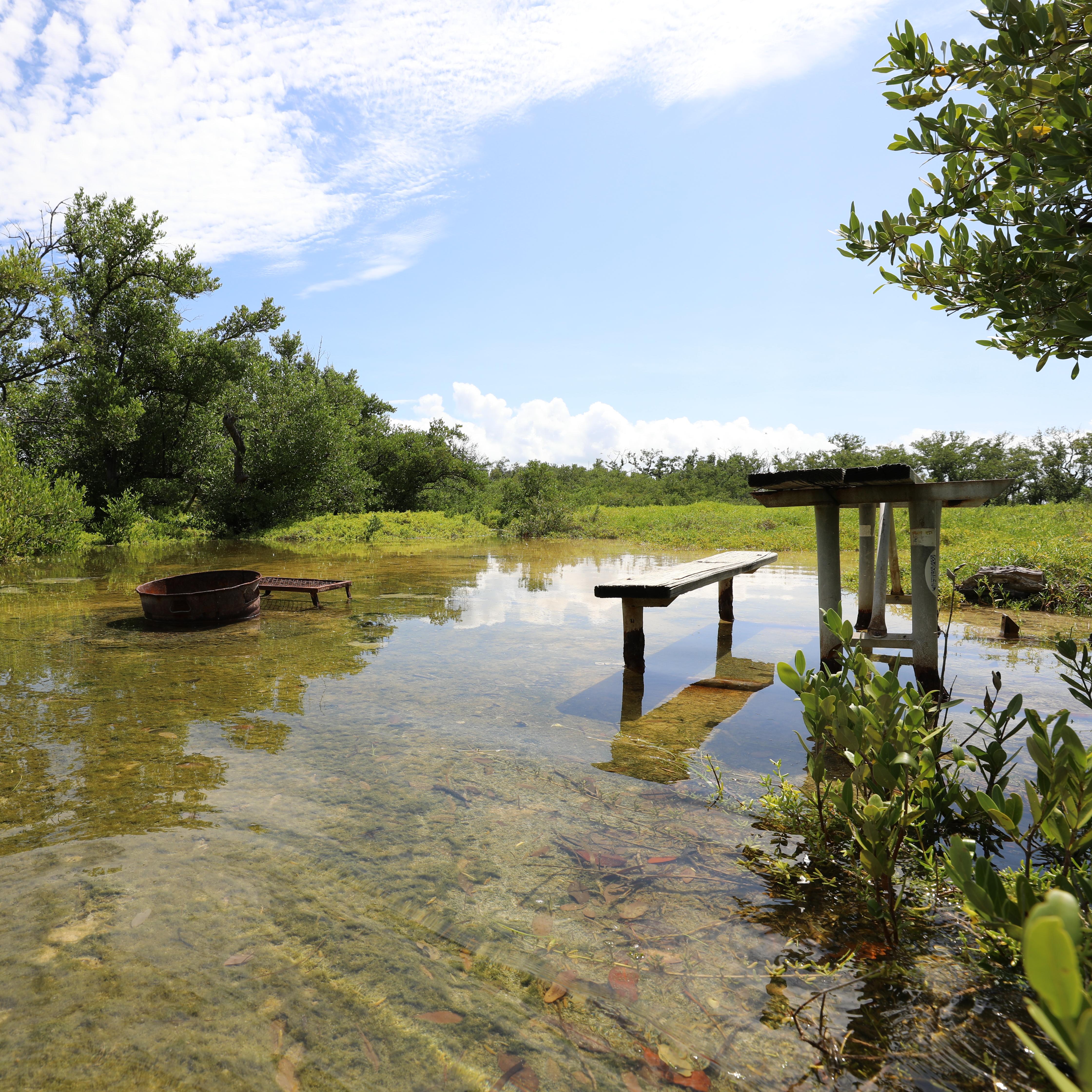 A flooded campground showing a picnic table and fire ring in several inches of water.