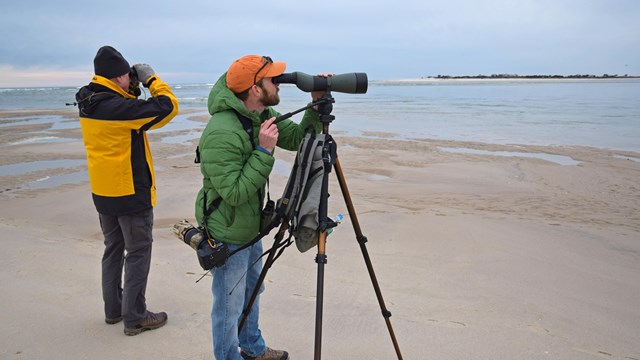 Two birders in winter jackets look through binoculars and a scope on the sand.