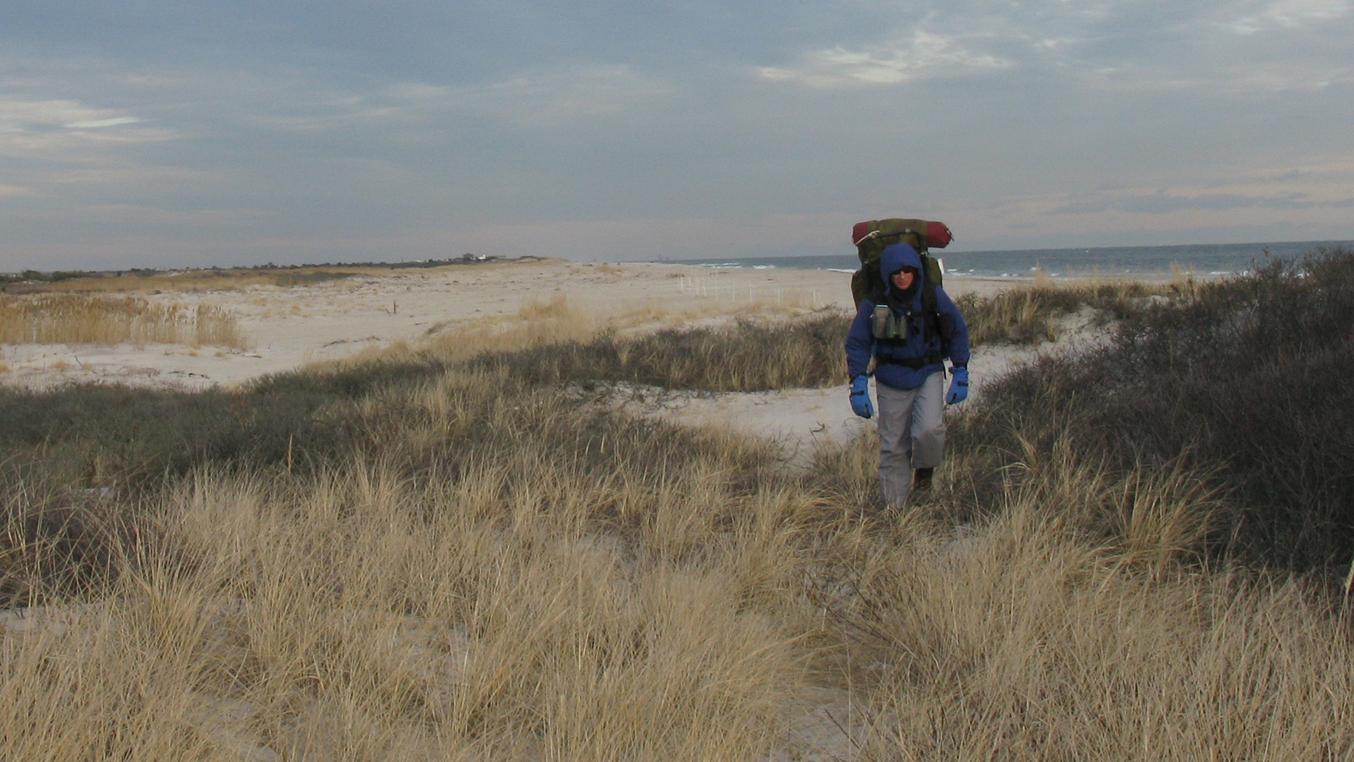 A hiker with a large backpack walks past dunes down a dirt trail.