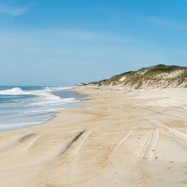 A sandy ocean beach with the primary dune in view.