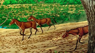 Mural of three mesohippus, or prehistoric horse-like mammals, in a field