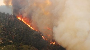 A crown fire seen from the air moves through the forest during a large wildfire.