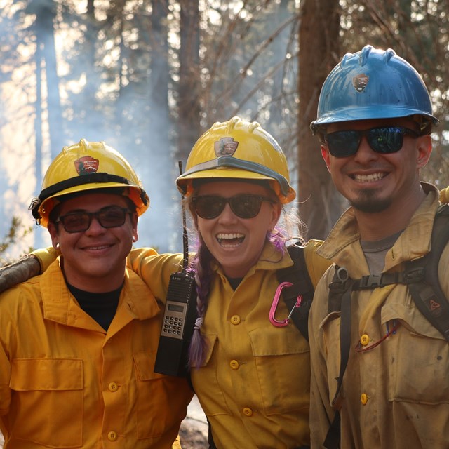 Wildland firefighting jobs in washington state