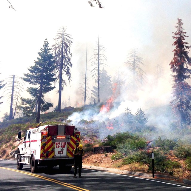 A fire engine works a prescribed burn.