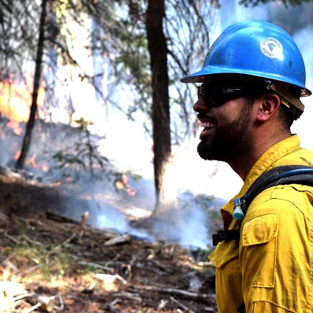 A firefighter observes a wildfire. 