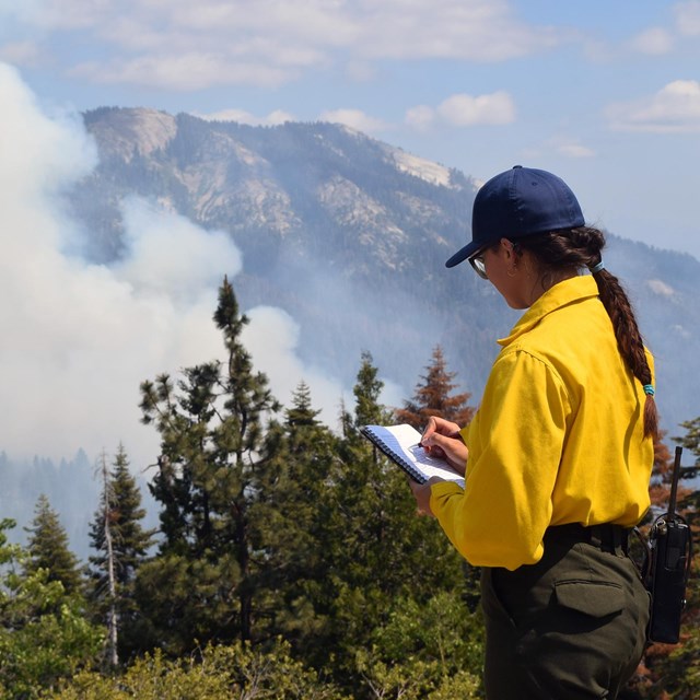 Woman fire manager taking notes about a prescribed fire