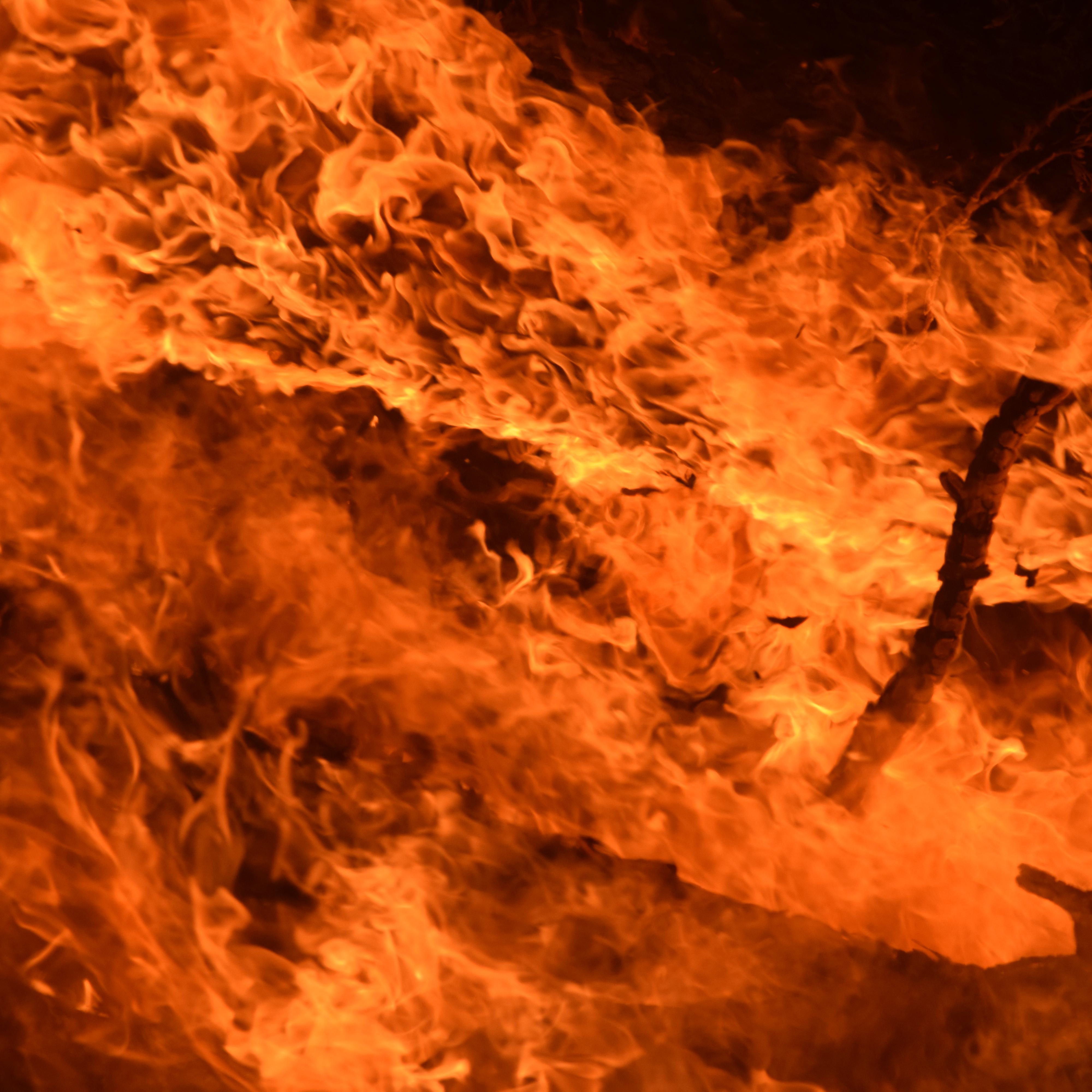 A close-up of burning sticks and logs. The fire is bright orange and the sticks are black.