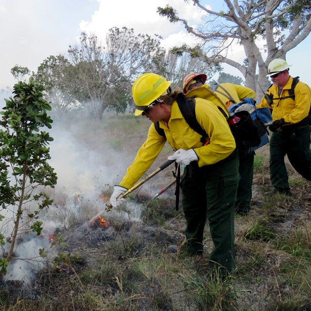 Fire crews work on a prescribed burn in Everglades National Park