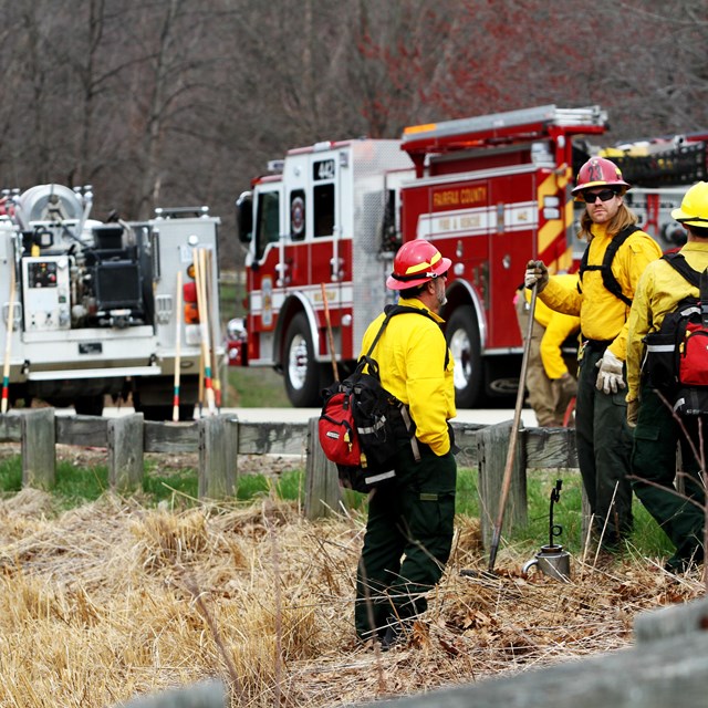 Fire crews from wildland and structural engines talk before a prescribed burn. 