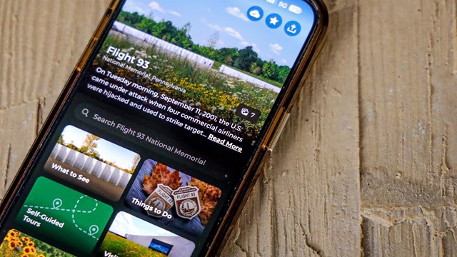 A phone sitting on a textured surface. On the screen is the NPS App. 