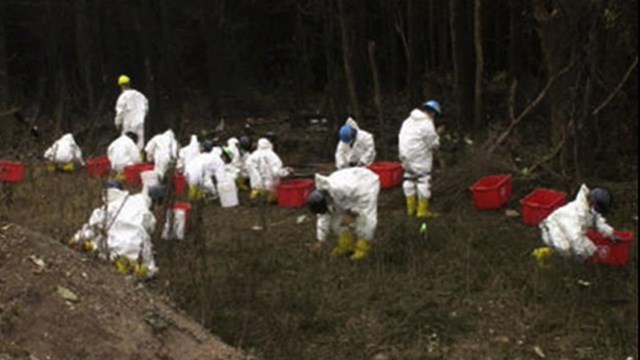 Investigators working on the crash site