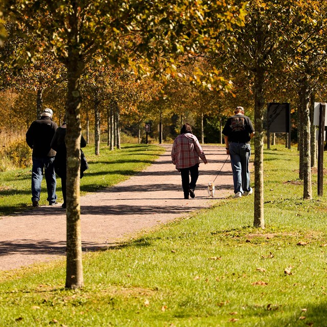 Visitors walking on a trail surrounded by yellow and orange trees.