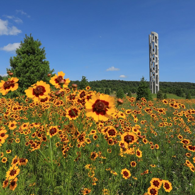 Tower of Voices in a field of flowers.